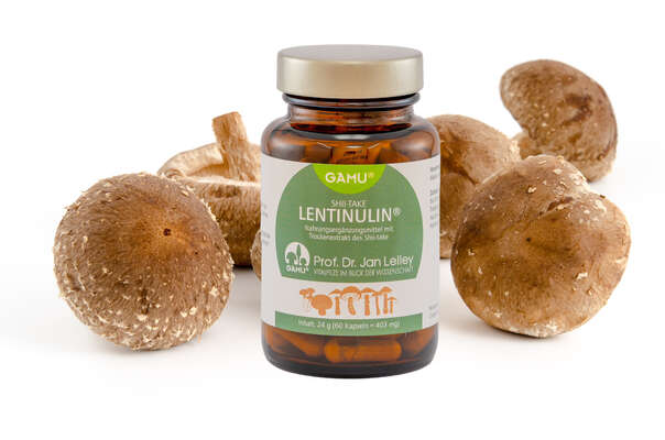 Gamu Bio Shii-take | Lentinulin Kapseln, A-Nr.: 5600213 - 02