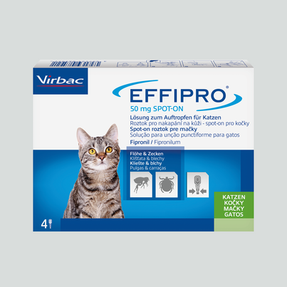 Effipro 50mg Lösung zum Auftropfen für Katzen, A-Nr.: 3546975 - 02