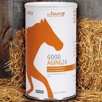 Good Aging 24 Horse, A-Nr.: 5807144 - 01